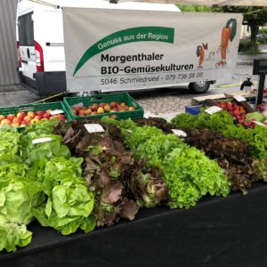 Bio-Reinach Bio-Reinach